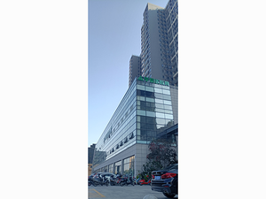 叶屋村农民公寓项目